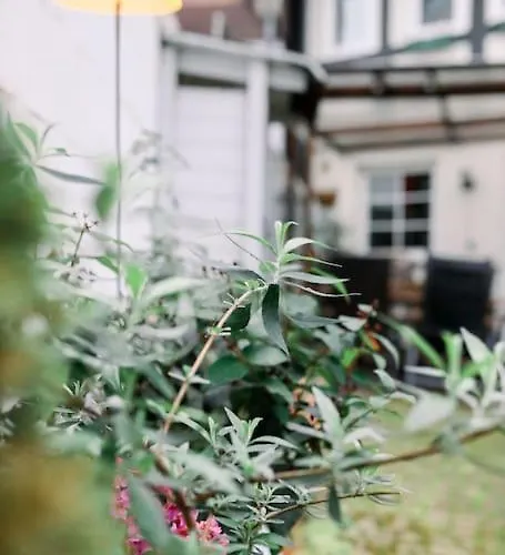 Nyaraló Moderner Komfort Trifft Historie *