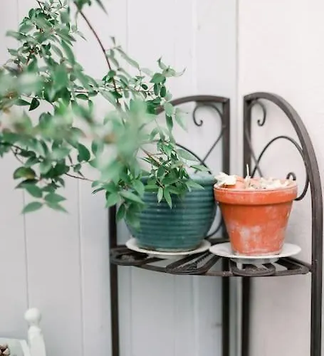 Moderner Komfort Trifft Historie Nyaraló *